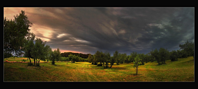 *** by nata-G