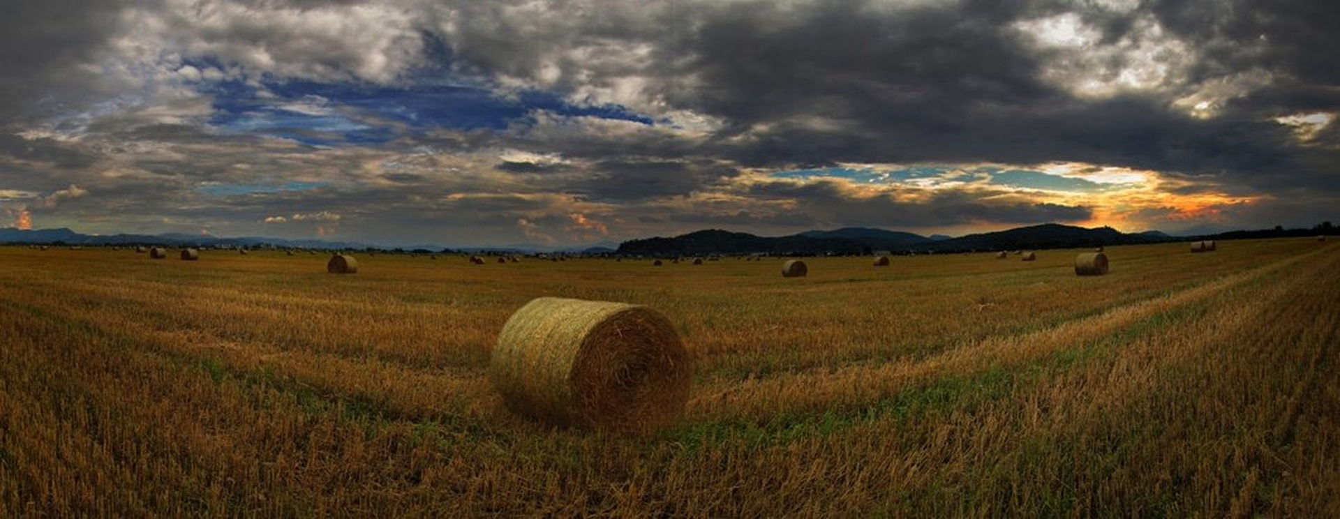 baleII by