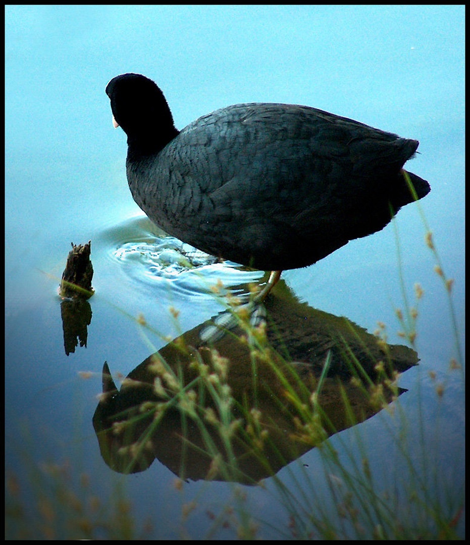 Zrcalce,zrcalce. . . by