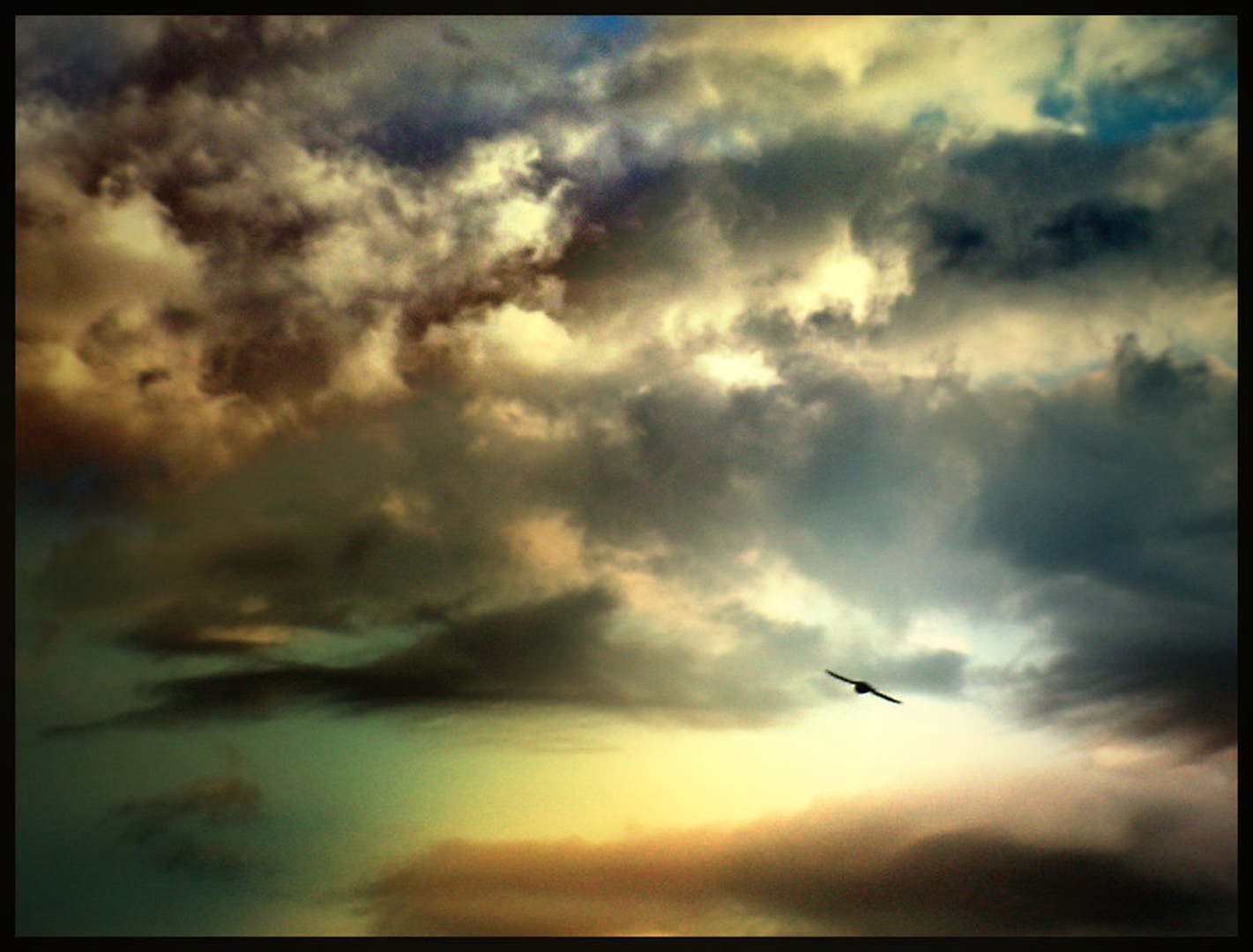 Free by
