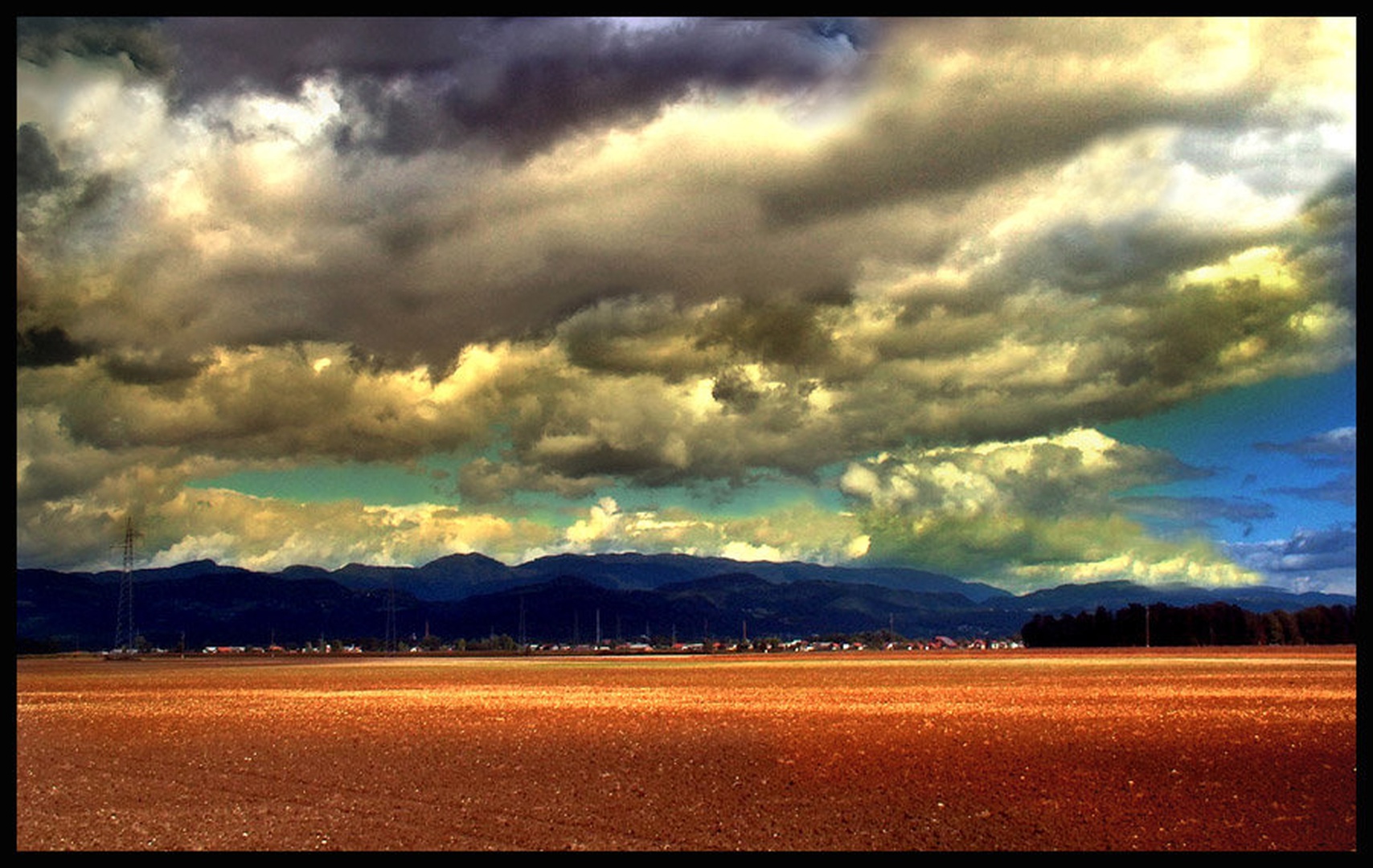 Field by