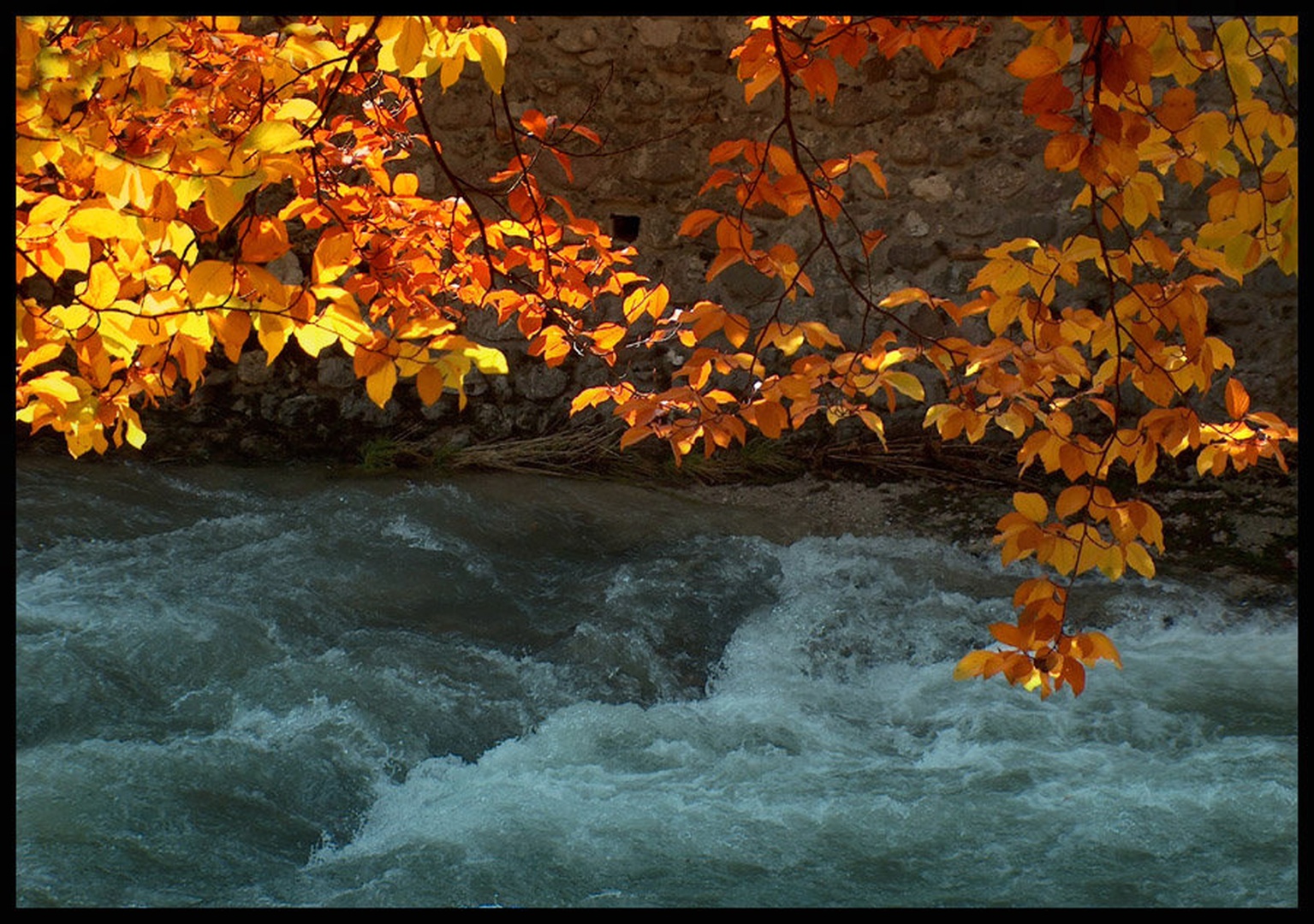 Igra svetlobe by