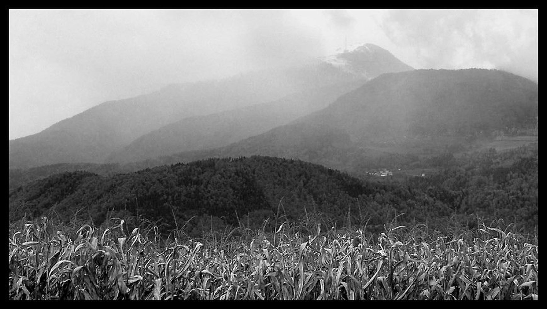 Krvavec. . . by