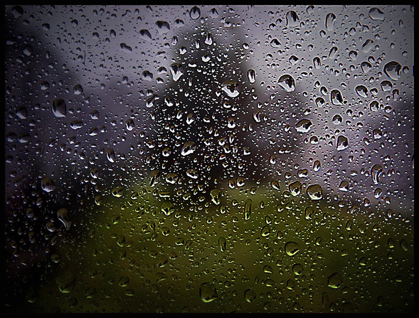 Raindrps by