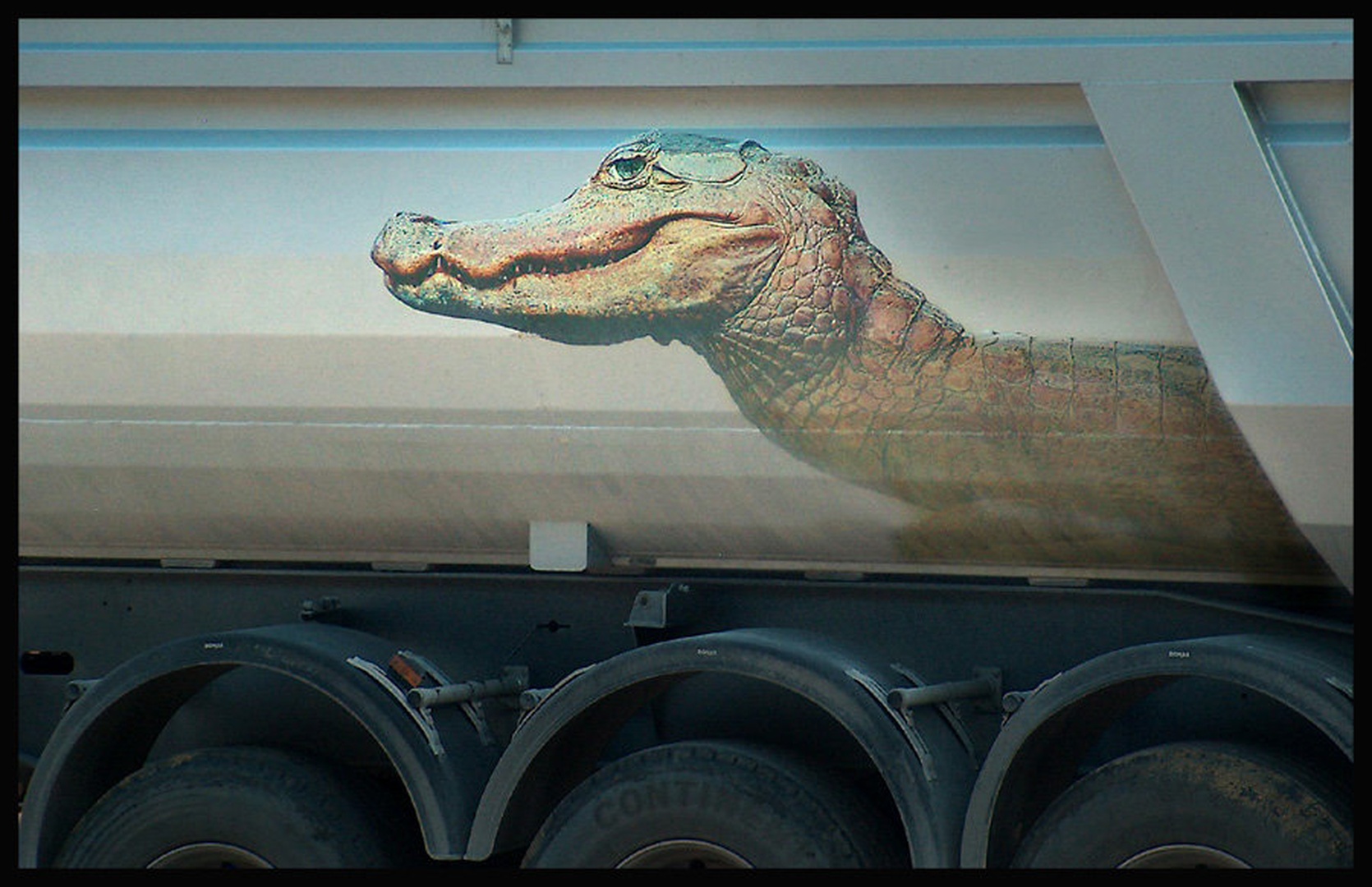Camion by