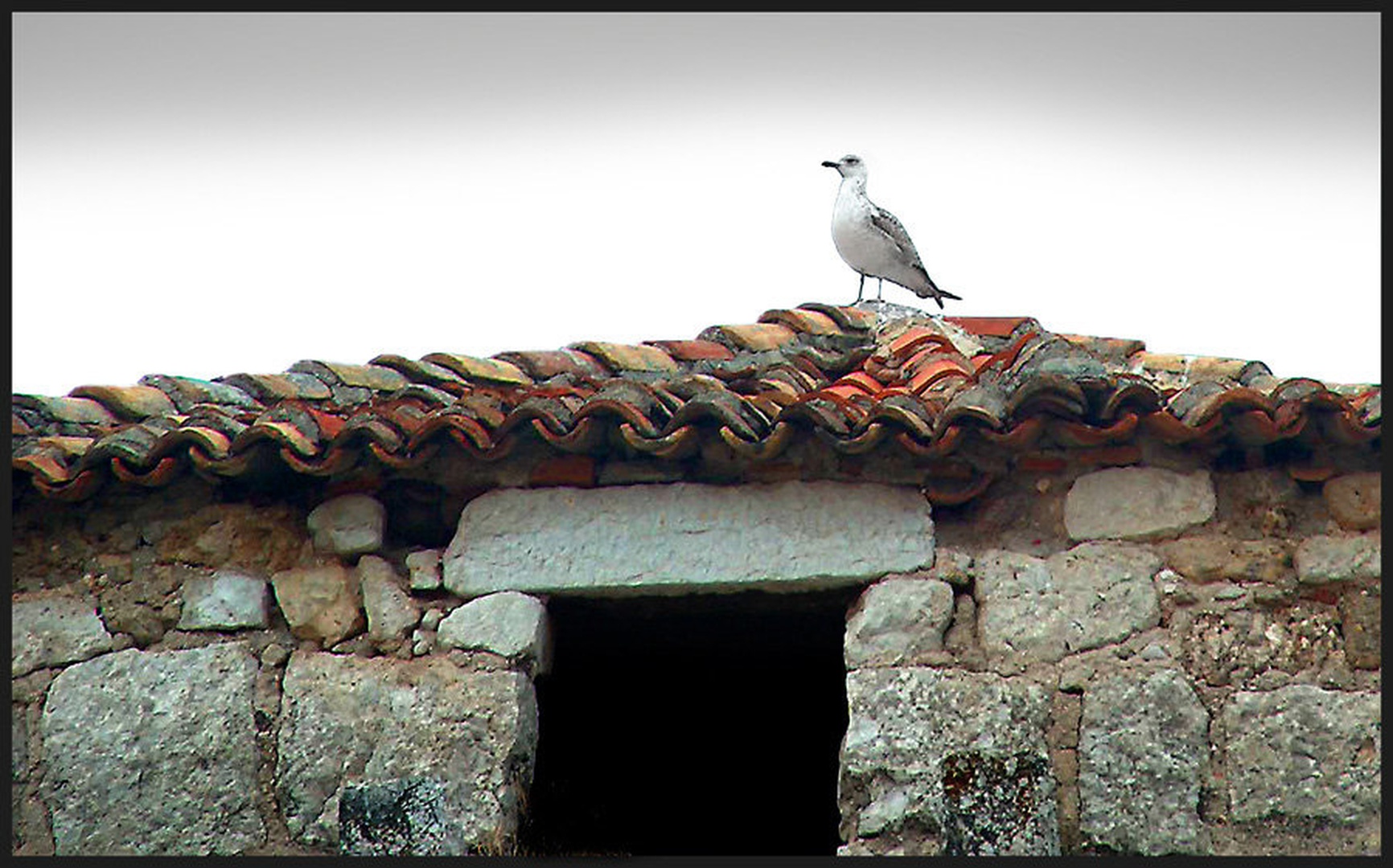 Na vrhu. . . by