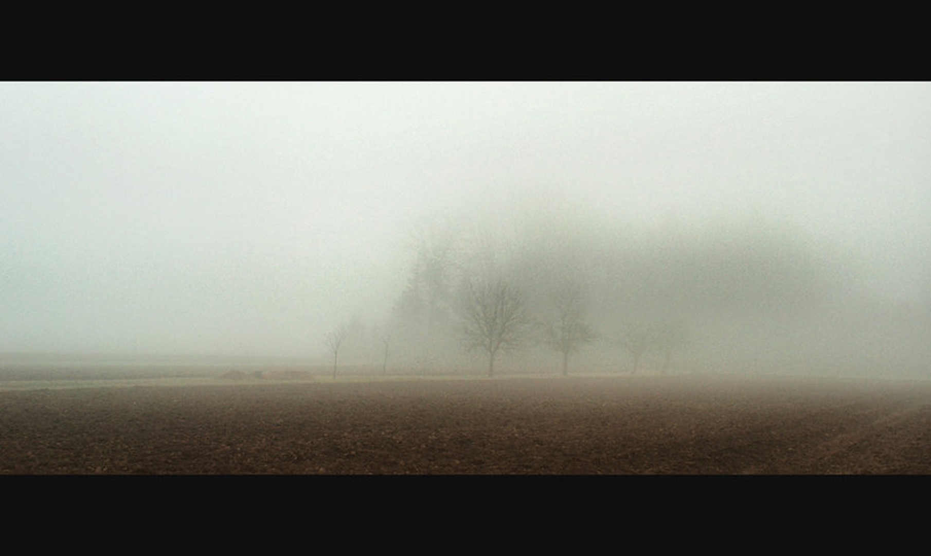 Šenčurska drevesa. . . by