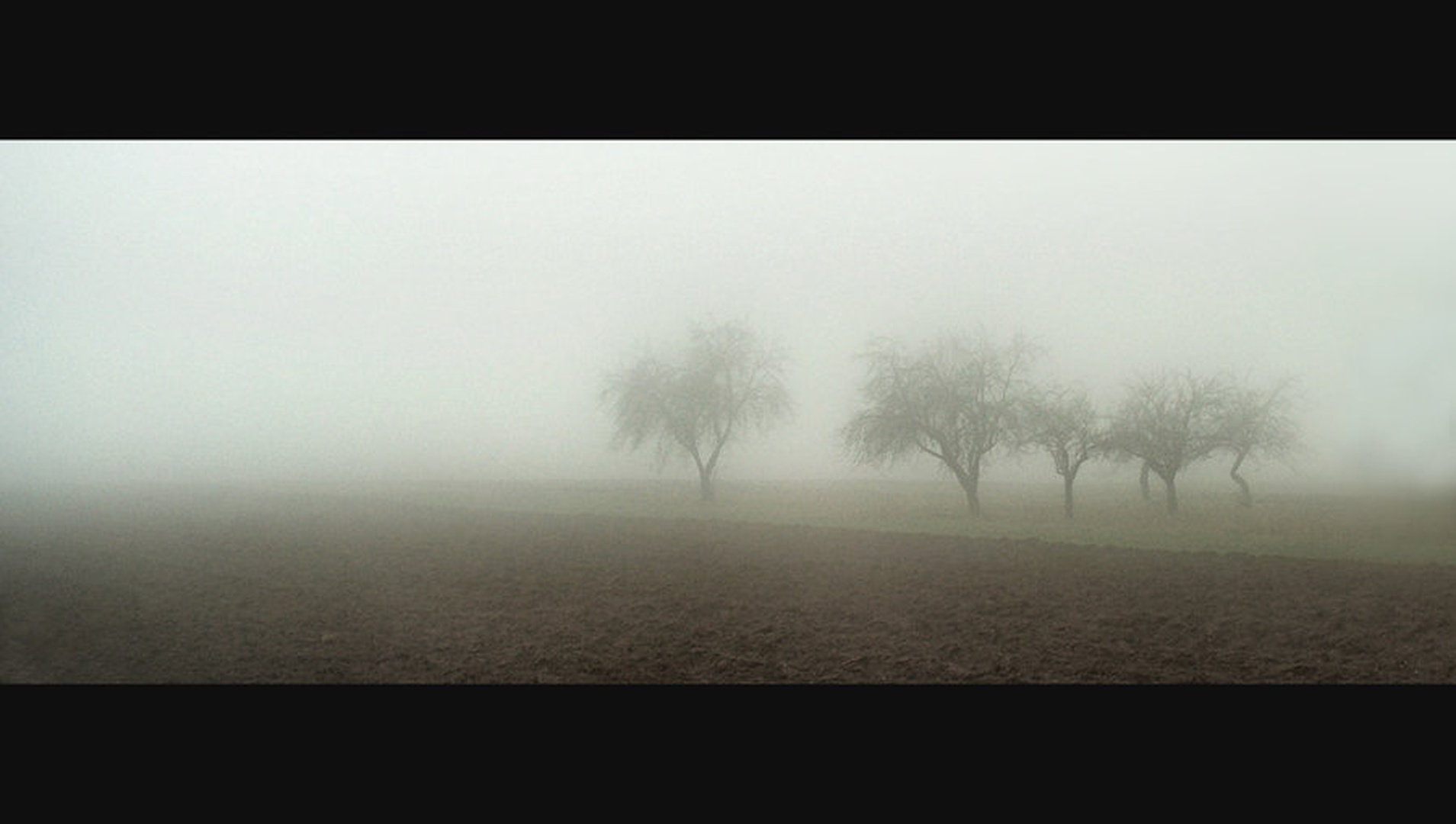 Sadovnjak. . . by