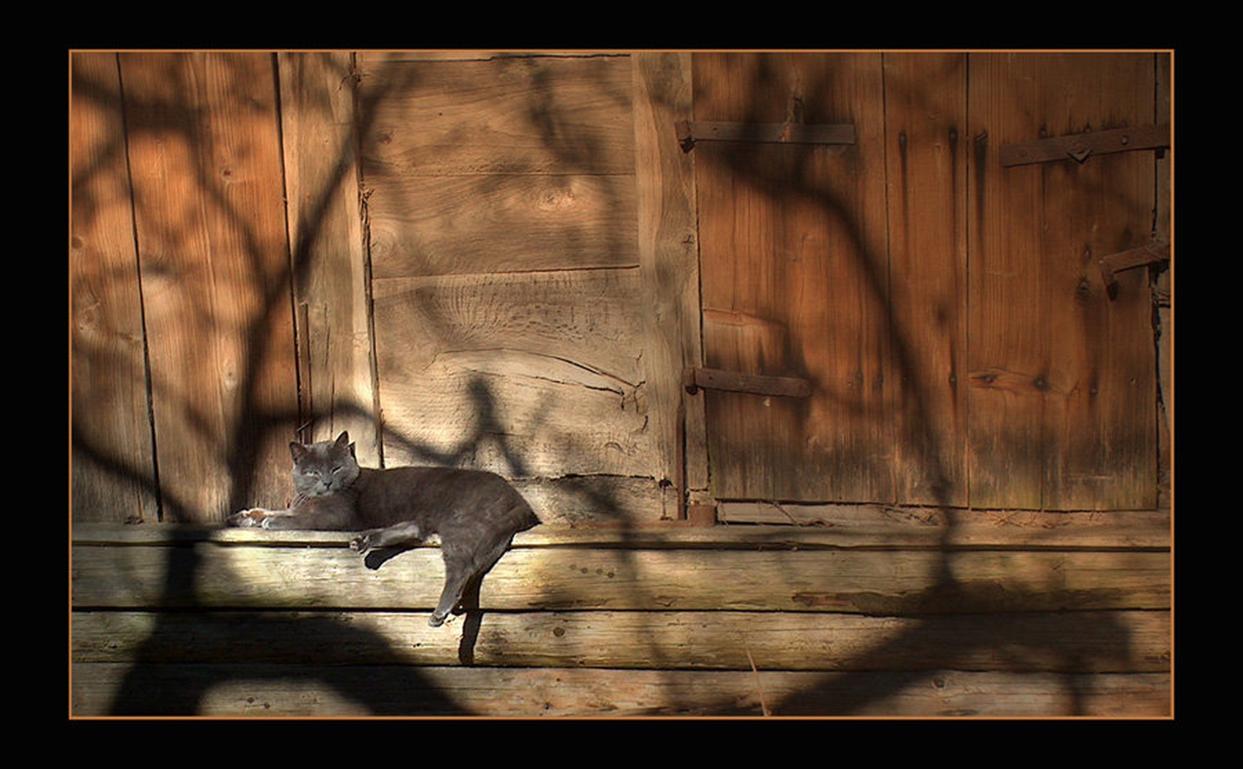 Siesta by