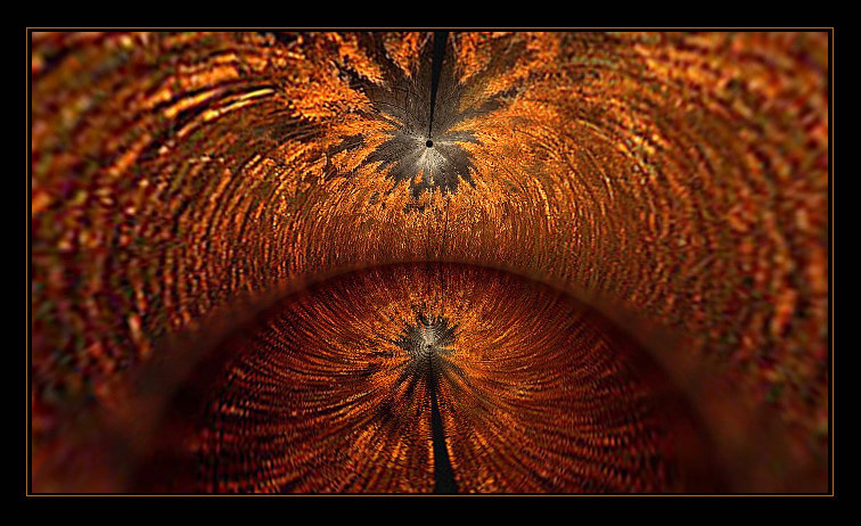 Mirror by