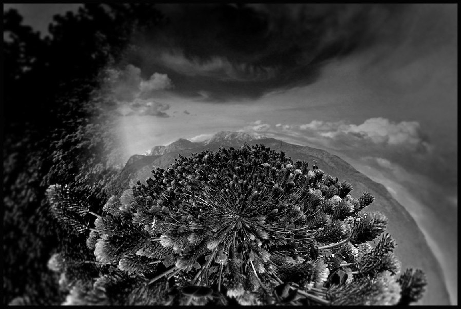 Touch. . . by