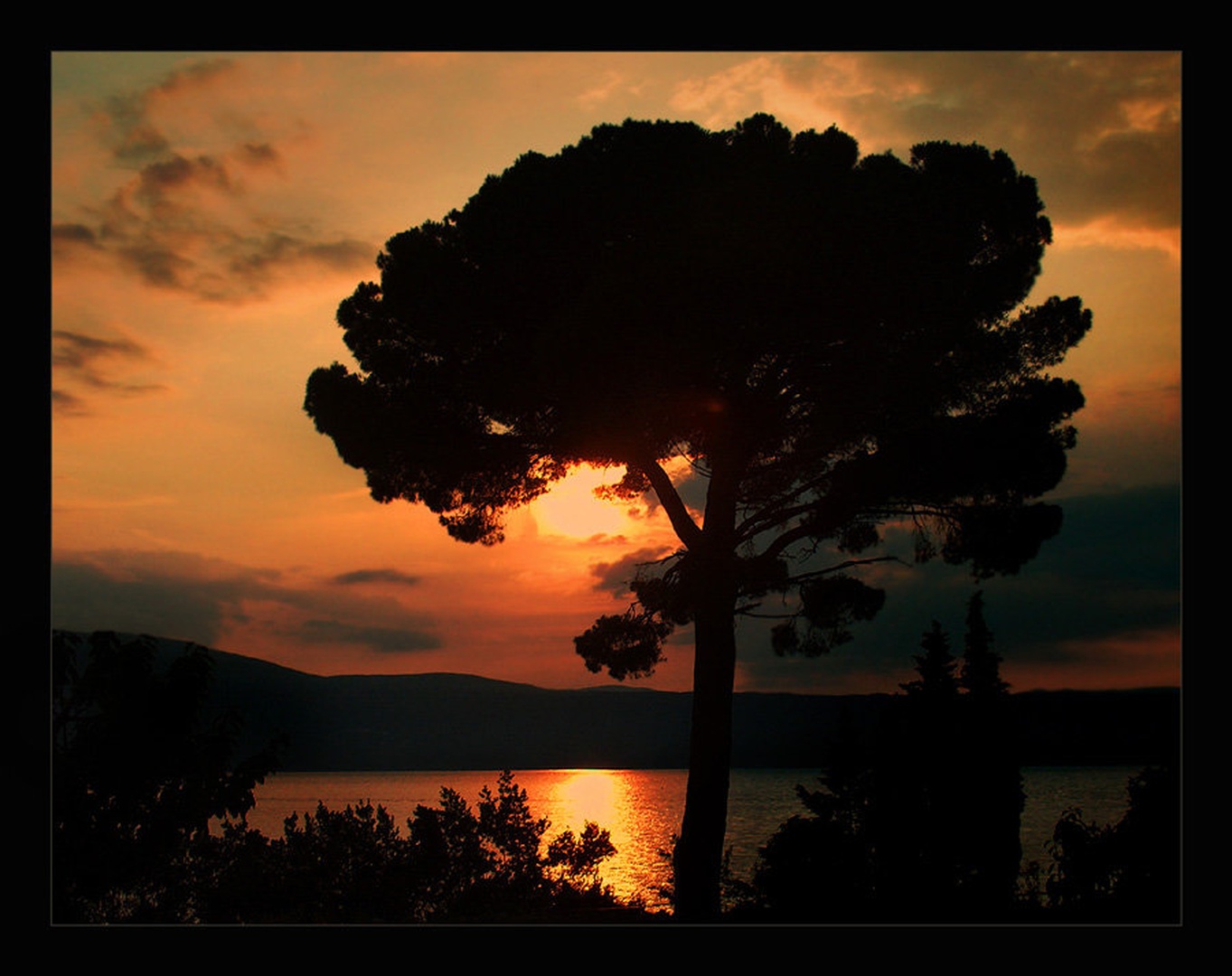 Ujeto sonce by