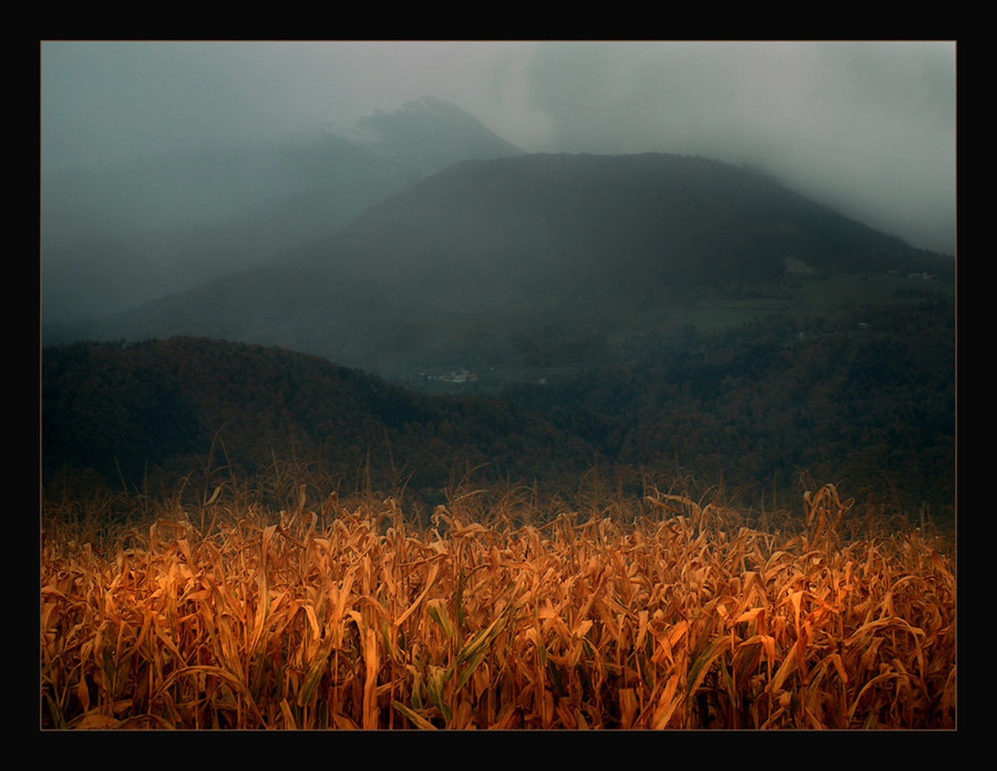Jesen. . . by