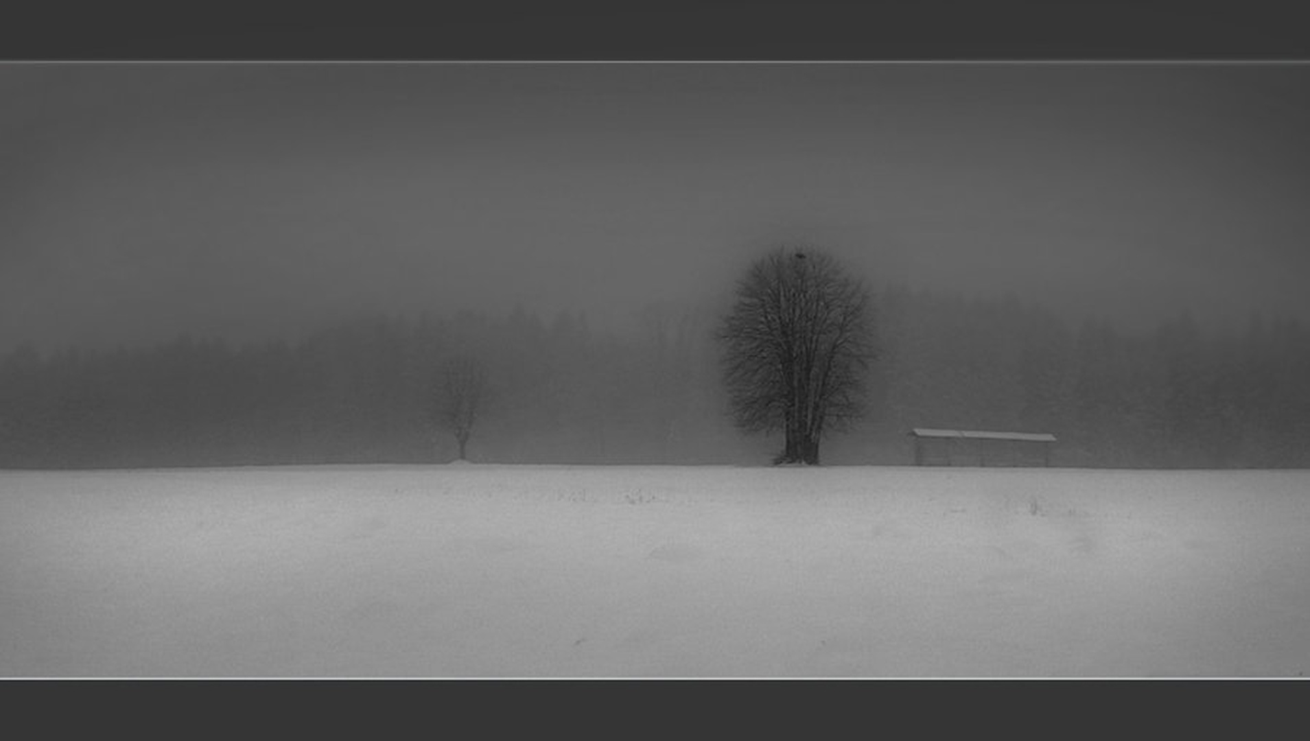 Prvi sneg by