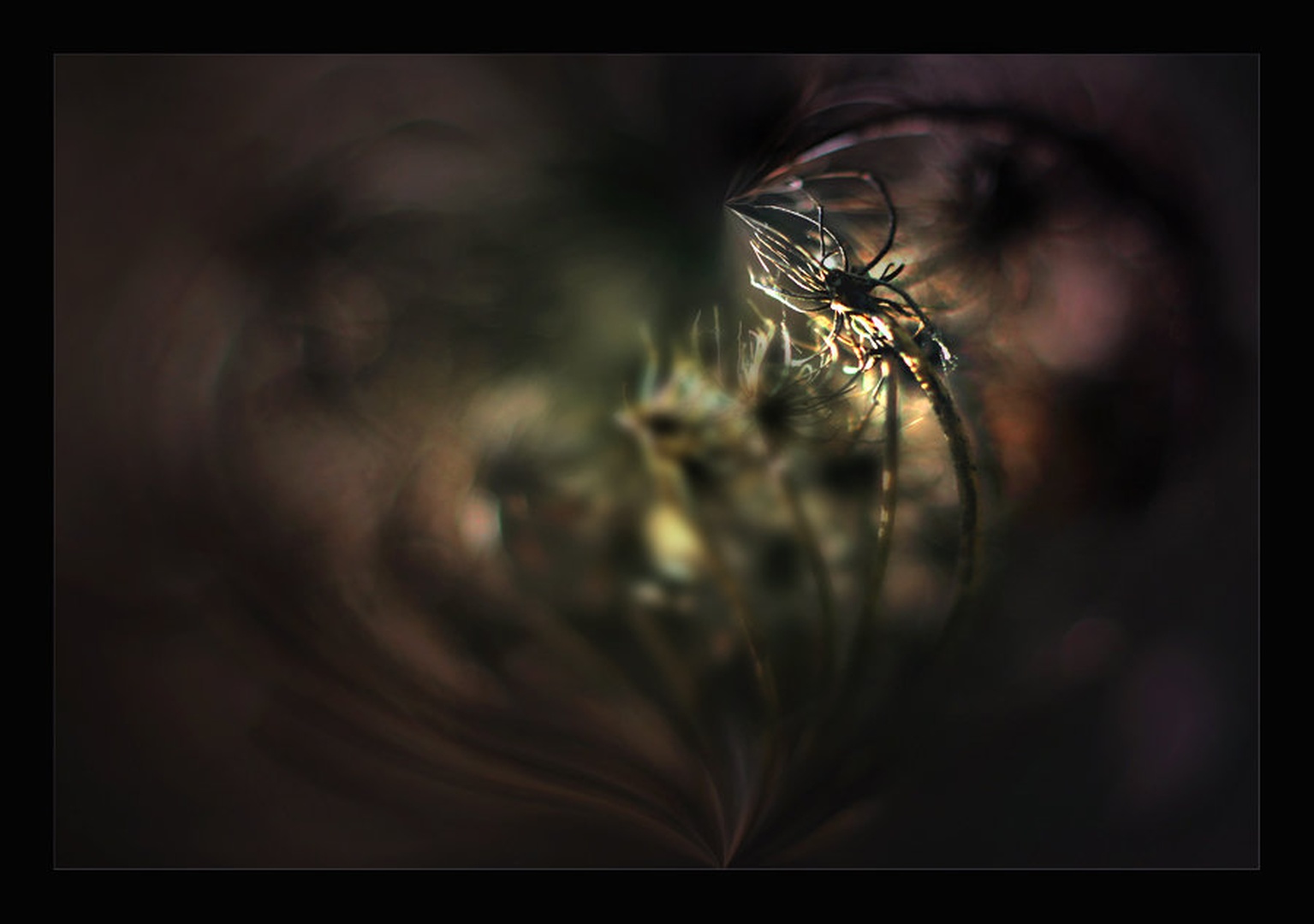 *** by