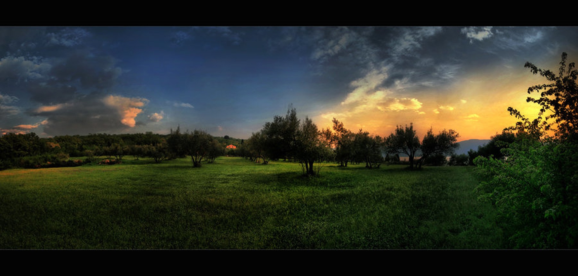 zadnjižarki by