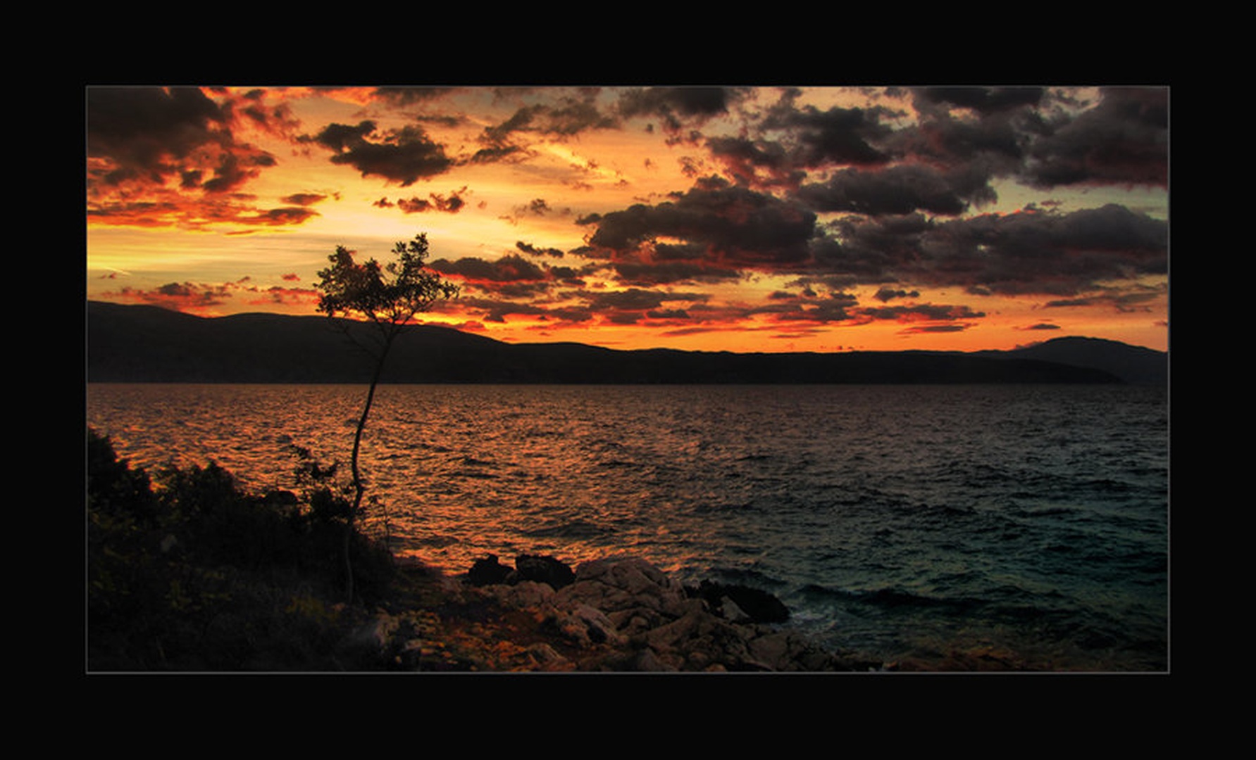 žari. . . by