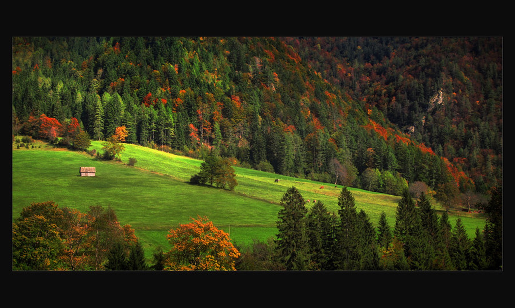 jesensko popoldne by