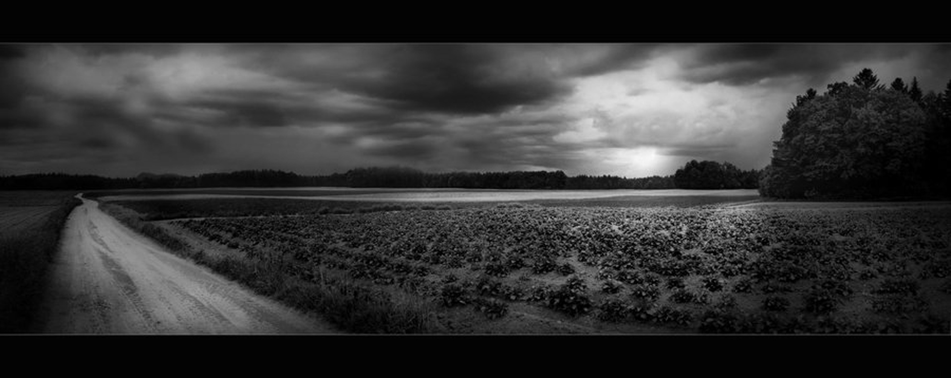 pot v. . . ? by
