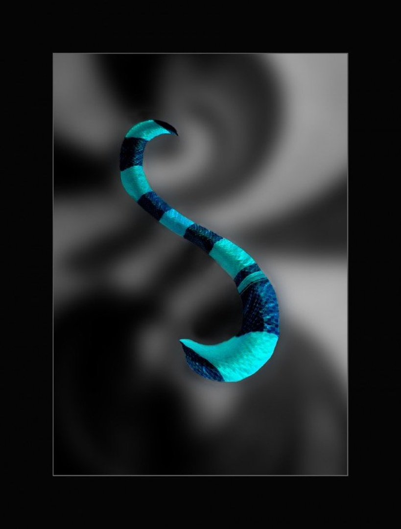 - S - by