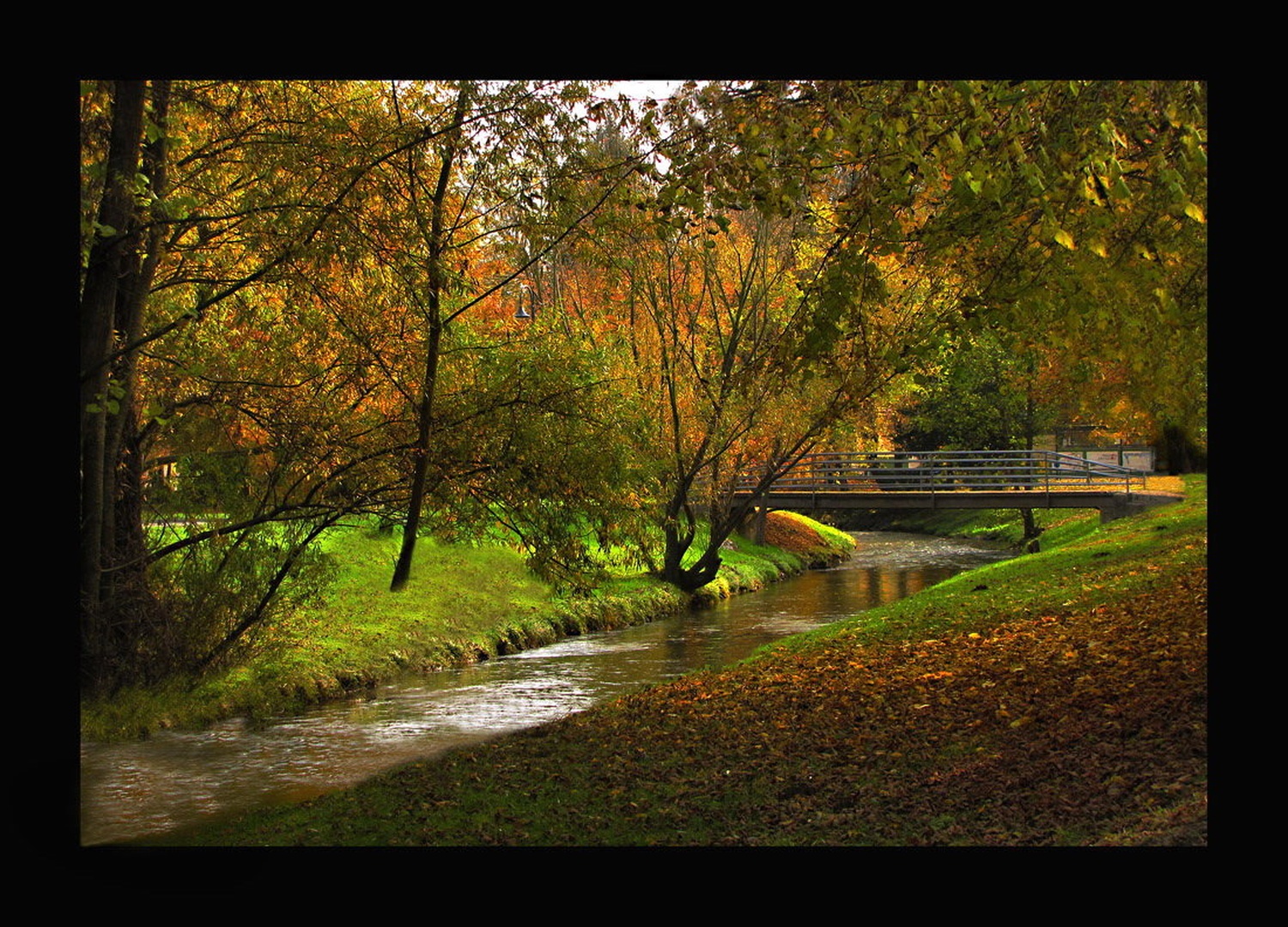 lepdan by