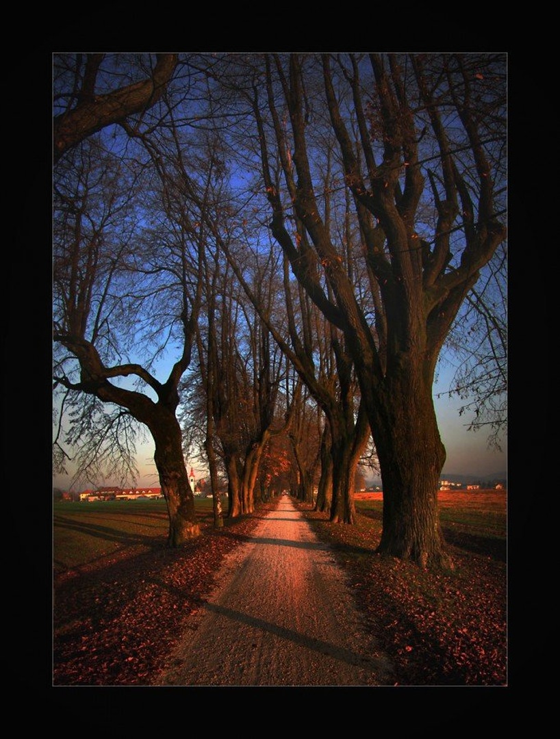 poznopopoldne by