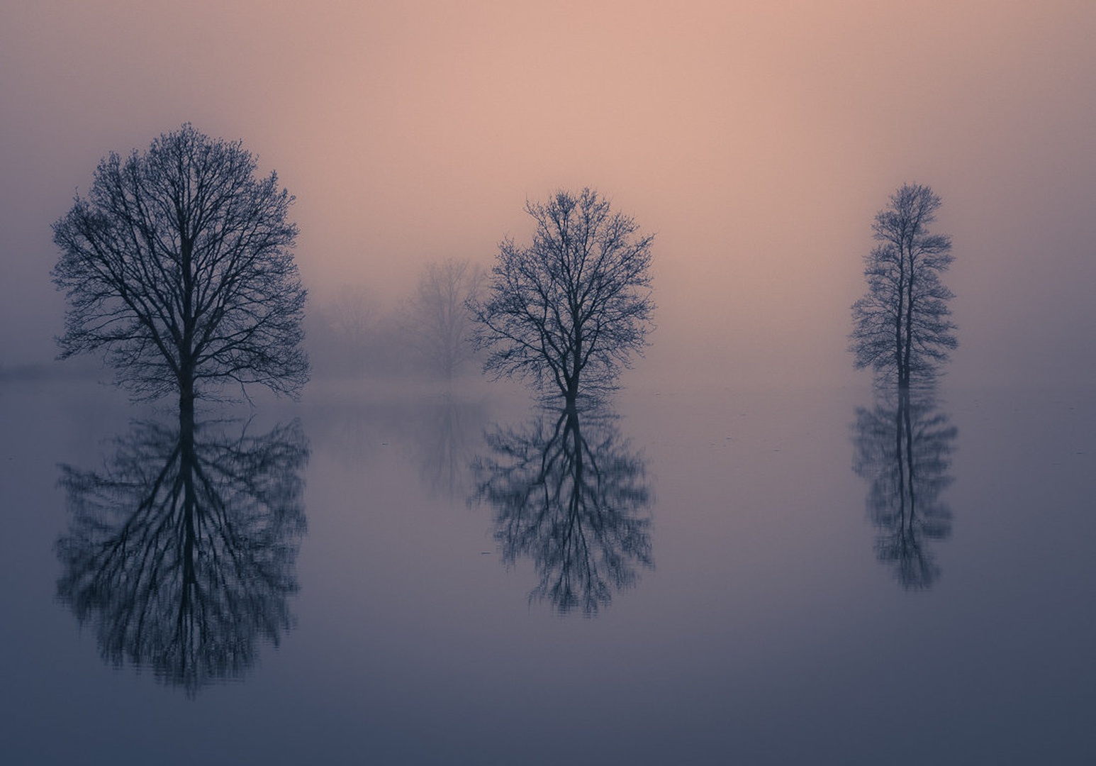 Refleksije by brane košak