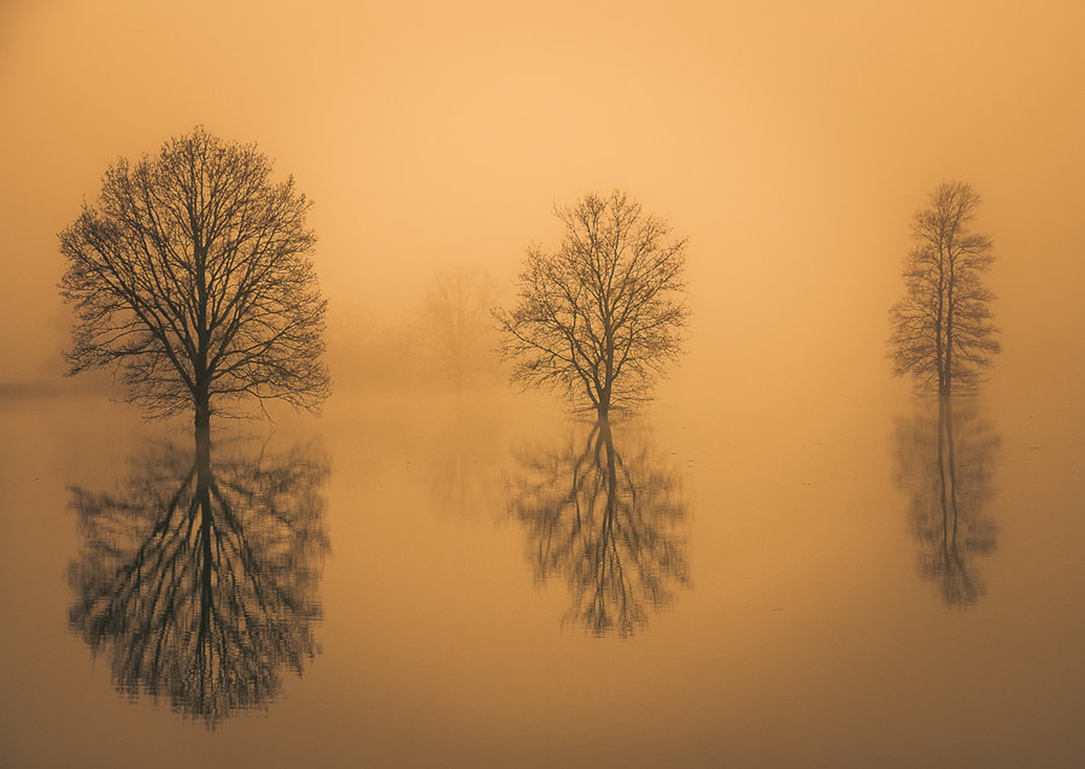 Refleksije by brane košak