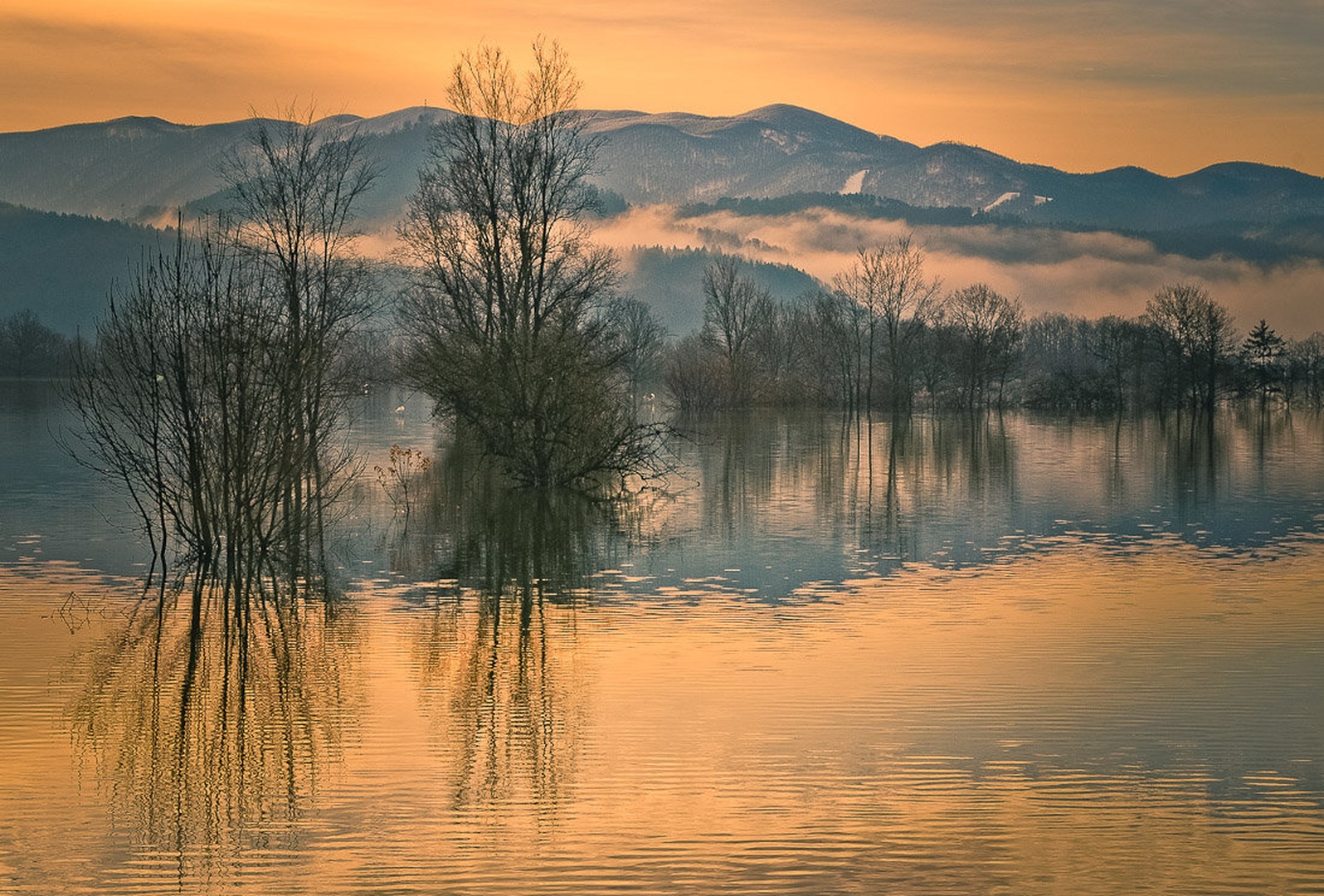Večerno vzdušje by brane košak