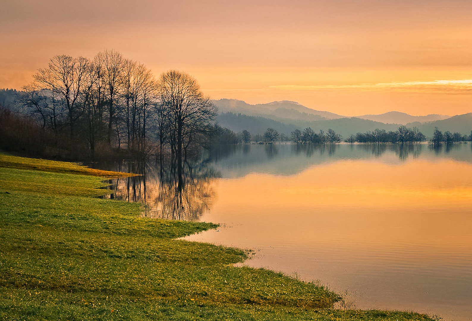 Planinsko polje by brane košak