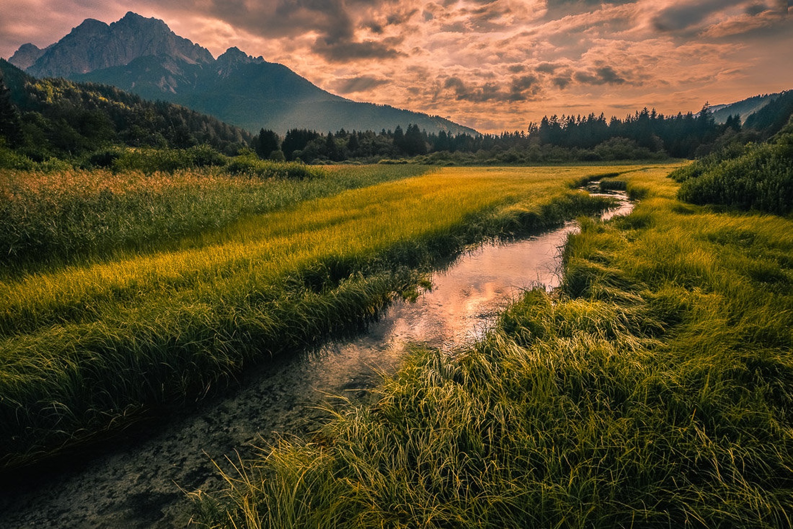 Zelenci by brane košak
