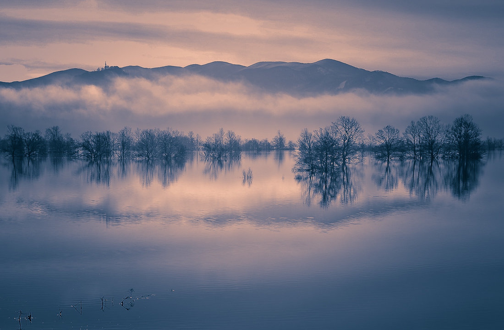 Refleksije by brane košak