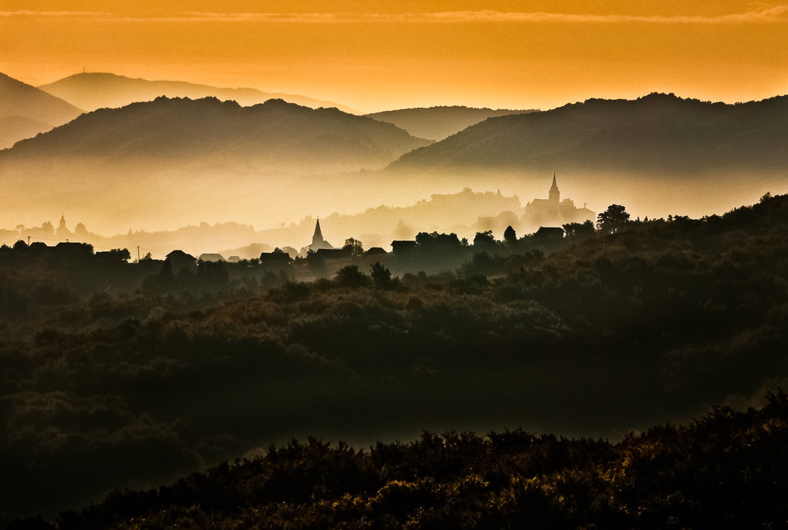Vasica med griči by brane košak
