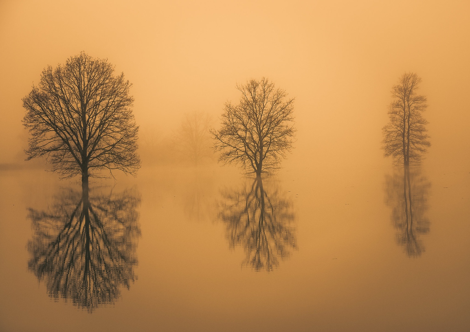 Refleksije by brane košak