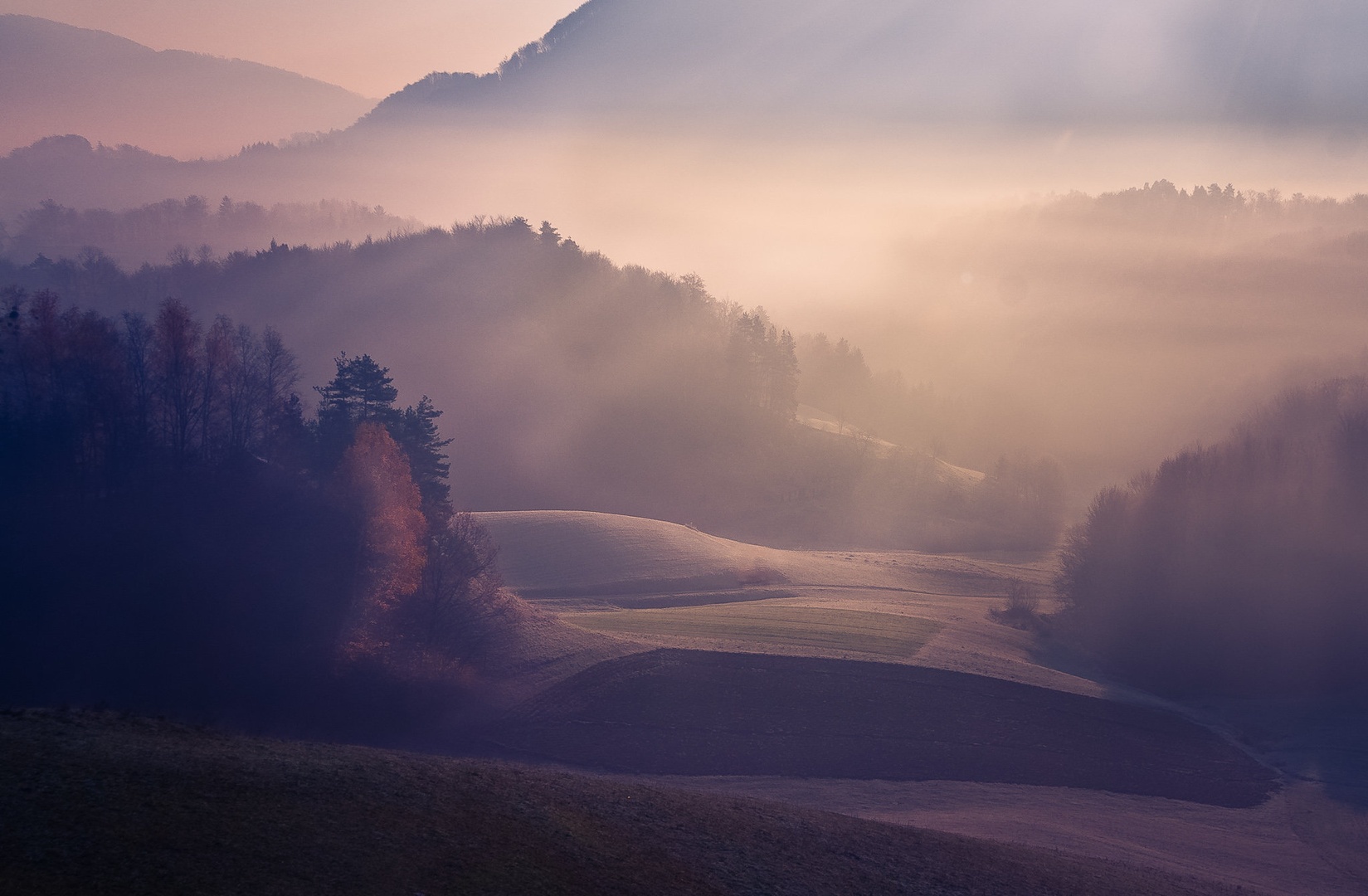 Jutro by brane košak