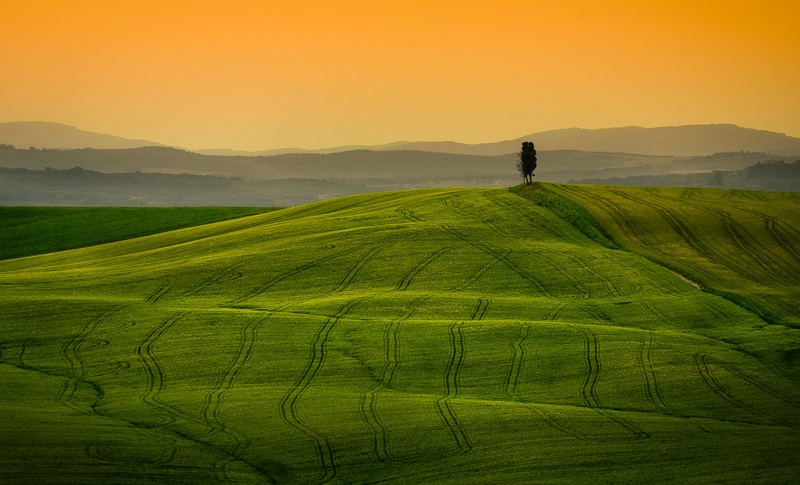 Toskanski stražar by brane košak