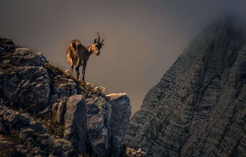 Sončenje by brane košak
