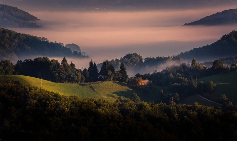 Jutro by brane košak