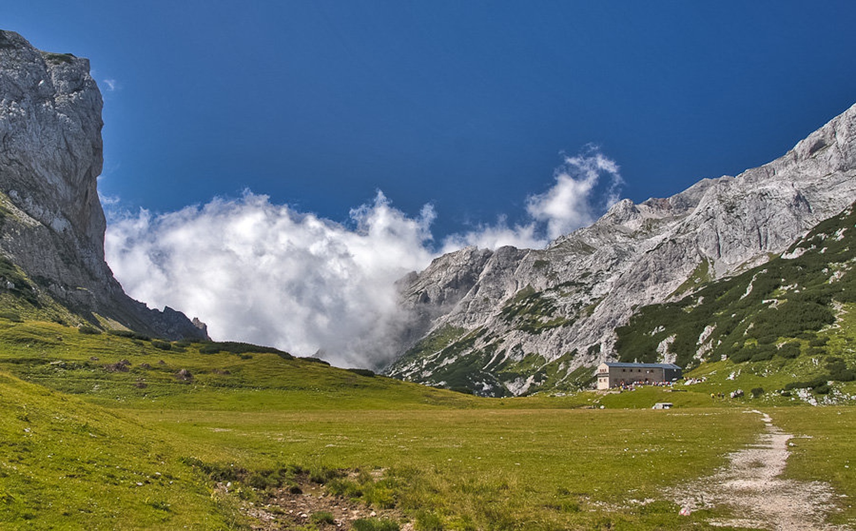Cunami by brane košak