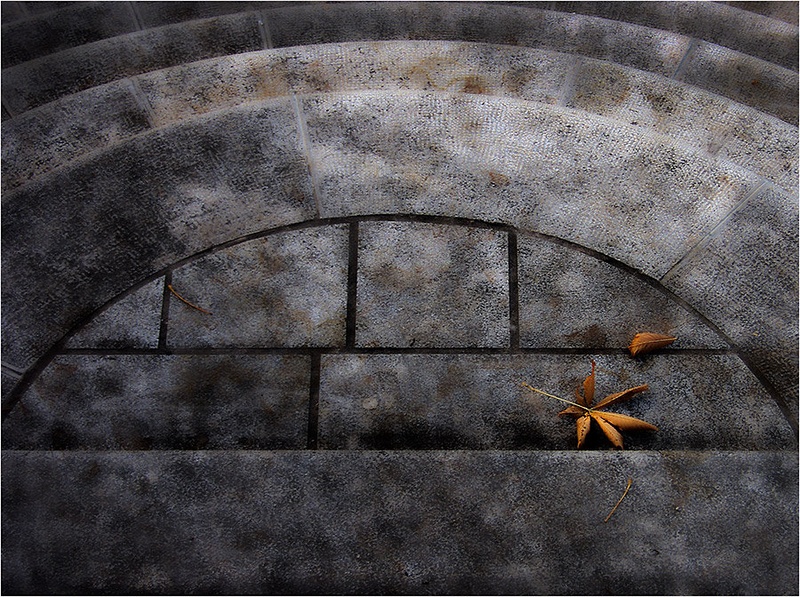 Ostanki jeseni by brane košak