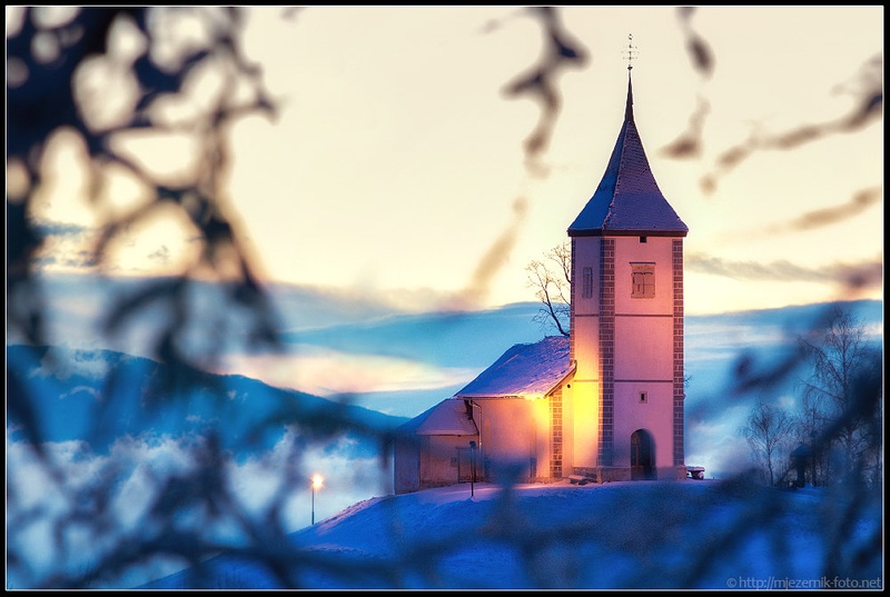 Jamnik skozi drevesno tančico by Echo/ Matej Jezernik