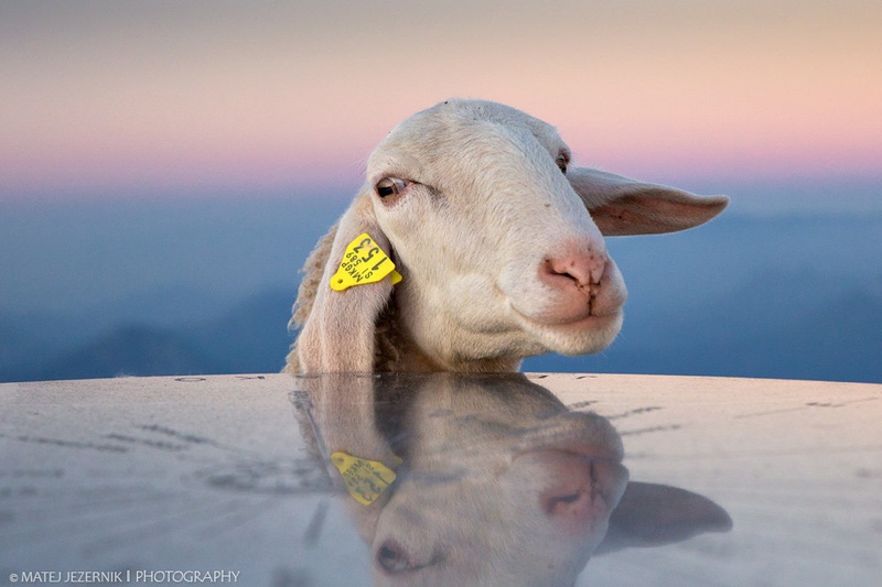 Wassup ? by Echo/ Matej Jezernik