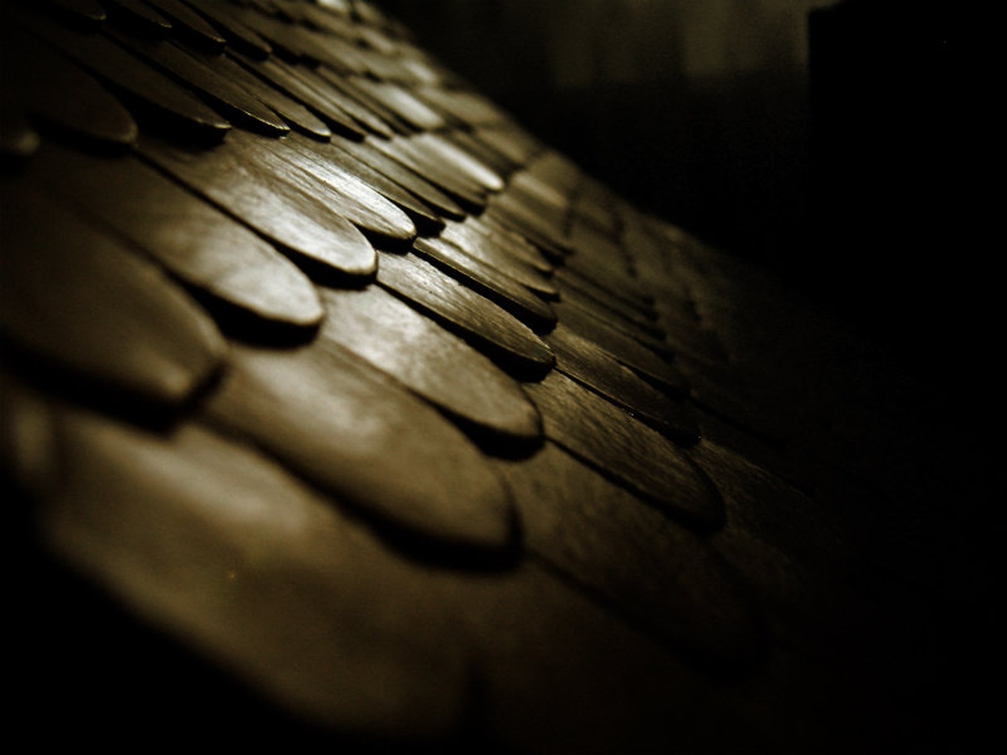 Roof ?&! by Nejc Lampret