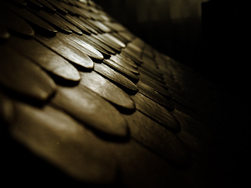 Roof ?&! by Nejc Lampret
