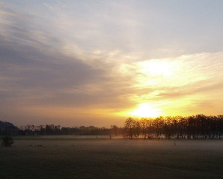 Good morning by Nejc Lampret