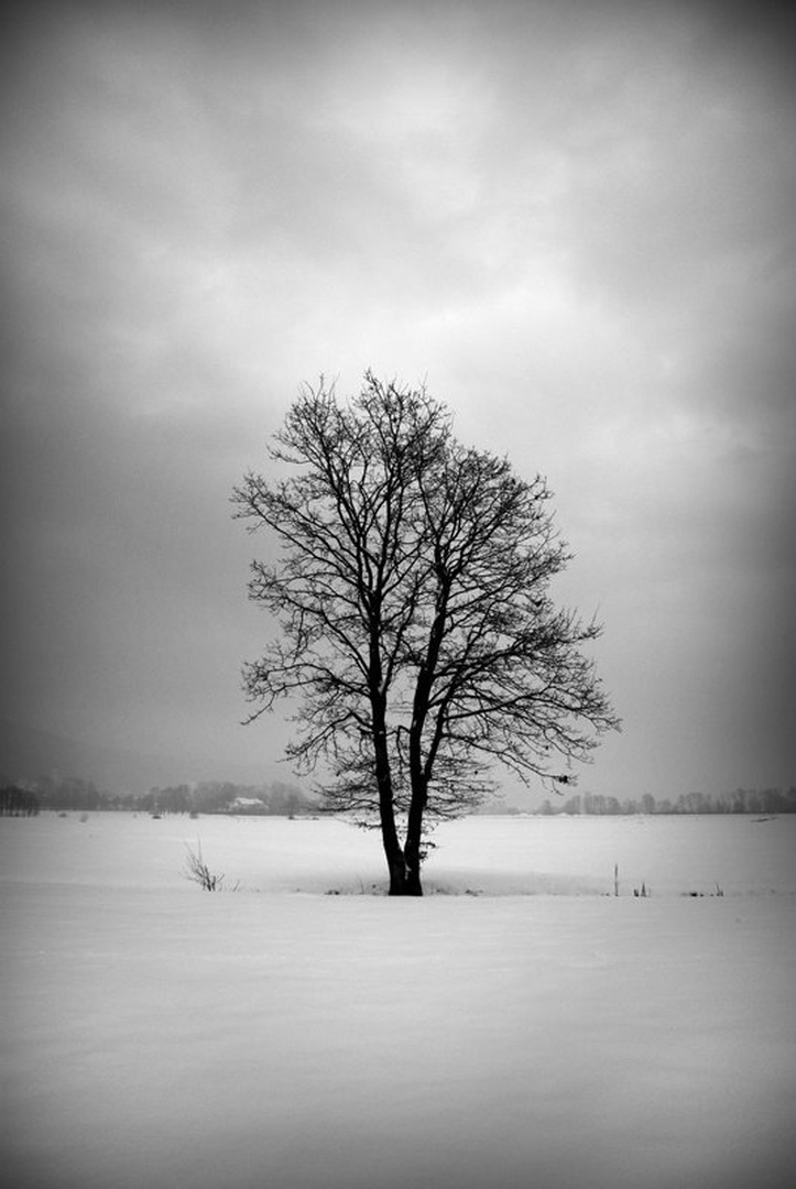 Alone by Nejc Lampret