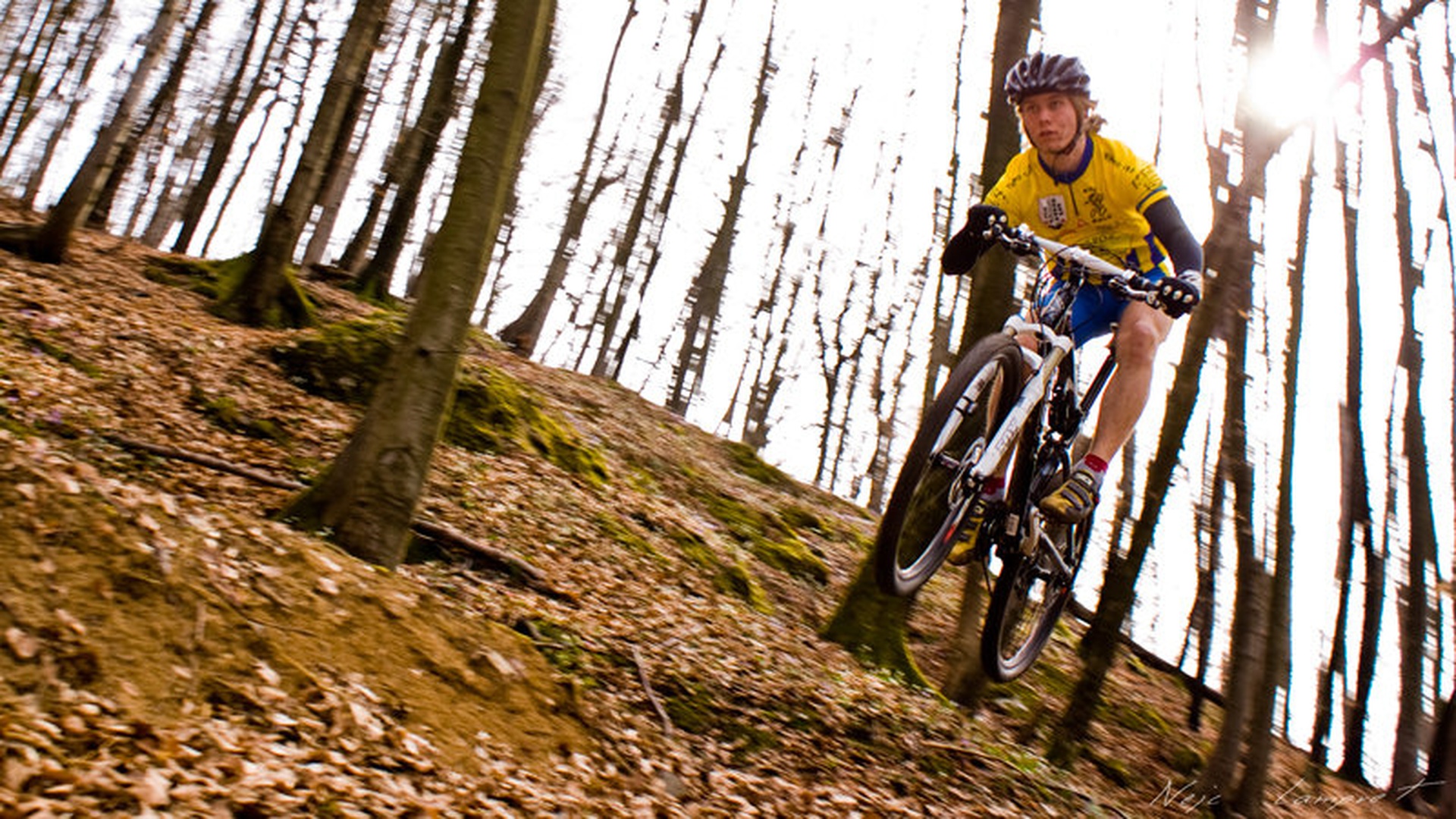 Cross country by Nejc Lampret