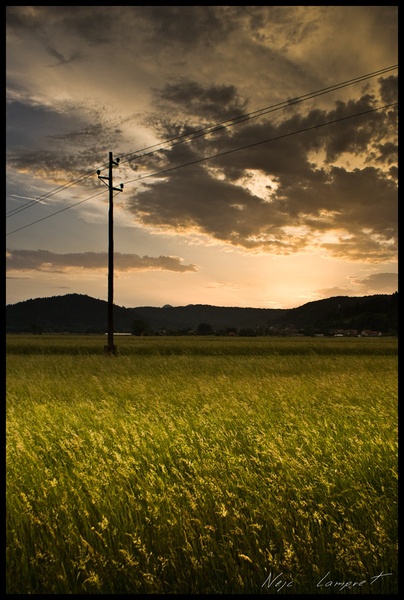 Summer afternoon by Nejc Lampret