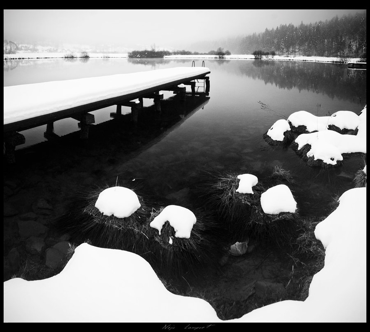 Podpeško jezero in B&W I by Nejc Lampret