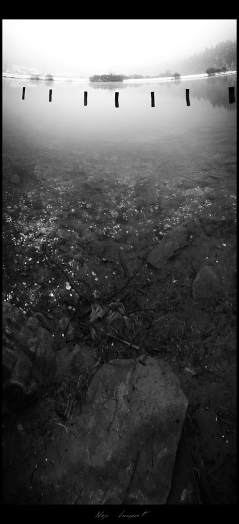 Podpeško jezero in B&W II by Nejc Lampret